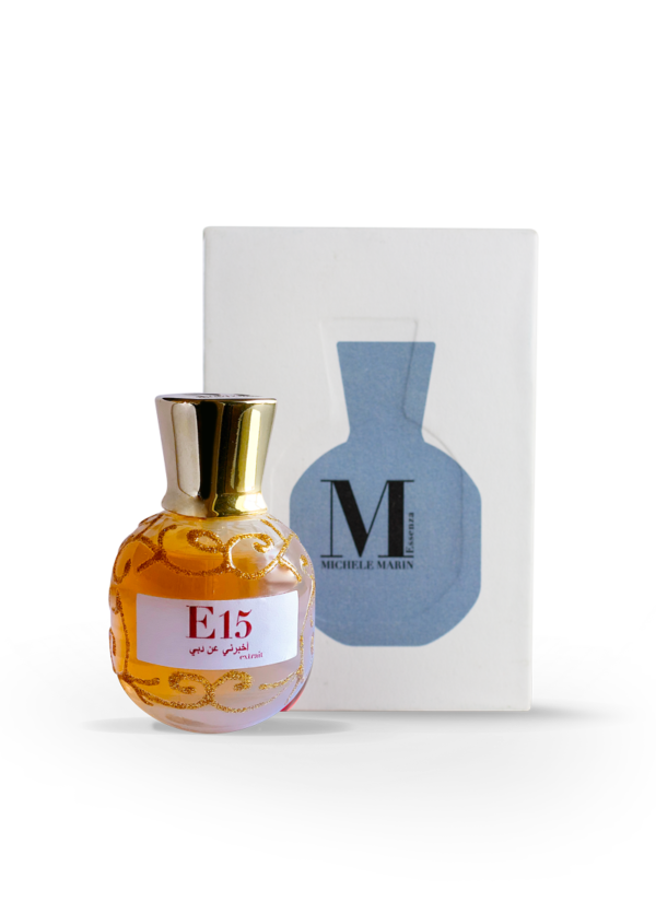 E15 Tell me about Dubai extrait