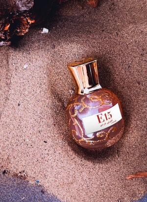 E15 Tell me about Dubai extrait